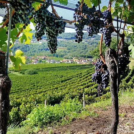 Conca Bella Boutique & Wine Experience Hotel Vacallo