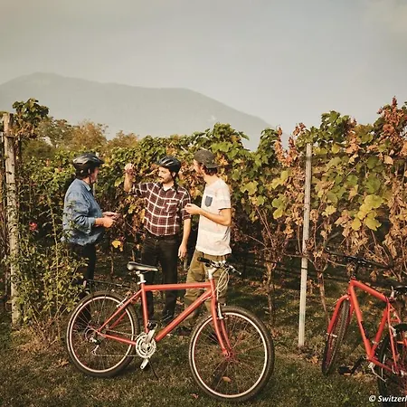 Conca Bella Boutique & Wine Experience Hotel Vacallo